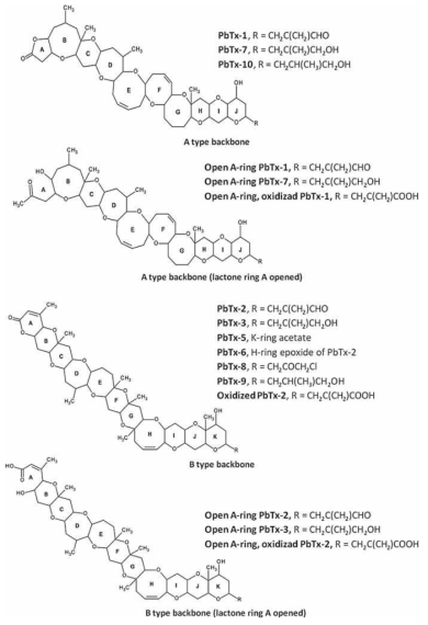 유해조류 Karenia brevis에서 생성되는 brevetoxin의 이성질체(PbTXs) 출처: Gopalakrishnakone et al. (2017)