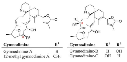 Gymnodimine toxins 및 이성질체 출처: Gopalakrishnakone et al. (2017)