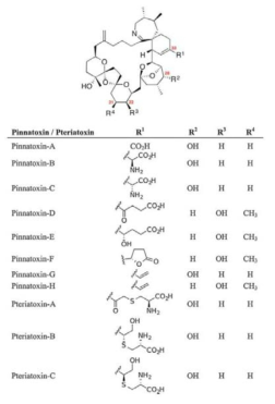 Pinnatoxins 및 Pteriatoxins의 화학구조 출처: Gopalakrishnakone et al. (2017)