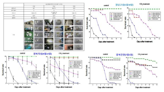 이산화염소 가스를 이용한 생산현장 훈증 가능성 검증