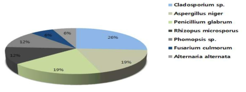 곰팡이 우점종 비율