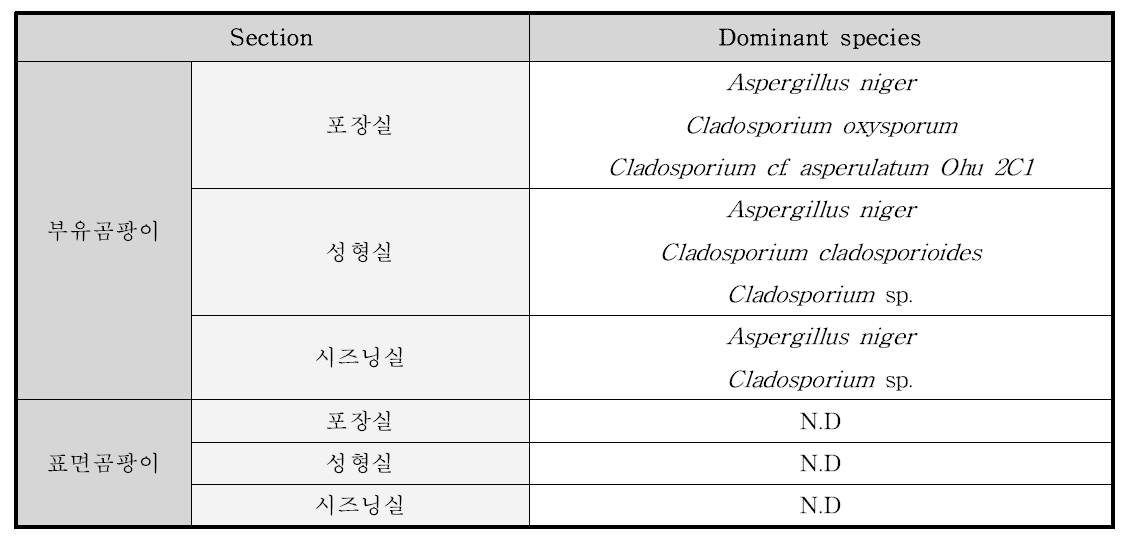 과자류 B공장 곰팡이 동정 후 우점종 결과