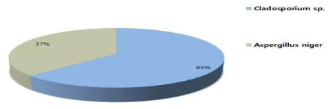 곰팡이 우점종 비율