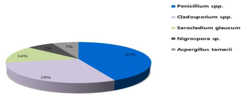 곰팡이 우점종 비율