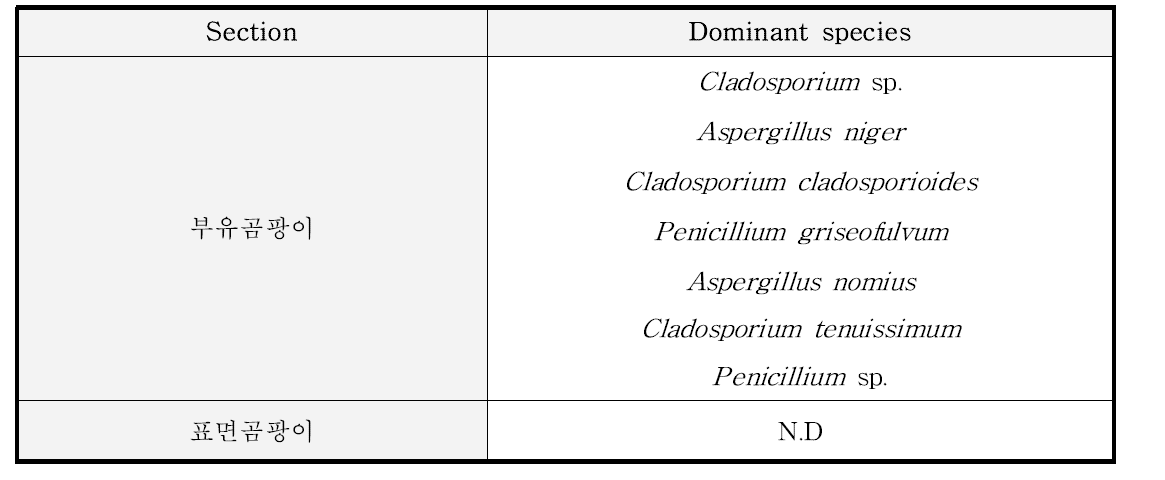 과자류 D공장 곰팡이 동정 후 우점종 결과