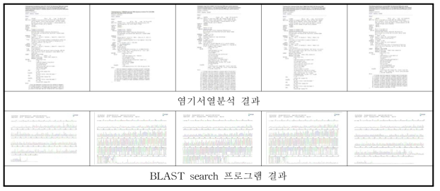 과자류 D공장 분자생물학적 동정 결과 주요 사진