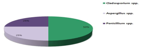 곰팡이 우점종 비율