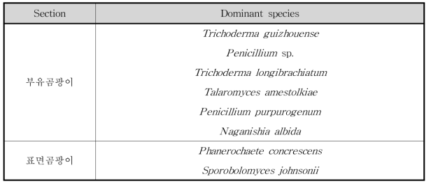 과자류 곰팡이 동정 후 우점종 결과