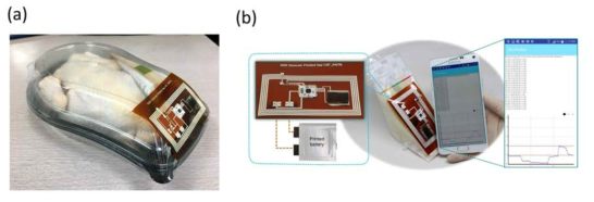 (a) 냉장 생닭 과 (b) 샌드위치에 개발한 NFC 태그를 부착한 모습에 보관 온도 상태를 스마트 폰으로 읽어 들이는 이미지