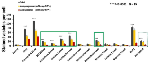 10종 NSAIDs와 영양분고갈상태 (EBSS), Rapamycin (autophagy inducer), Bafilomycin A1 (BafA1, vacuolar H+ ATPase (V-ATPase) inhibitor)의 오토파지 과정 변화의 정량적 영상분석