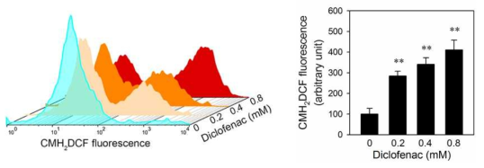 Diclofenac increases the level of cellular ROS in HepG2 cells