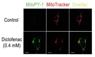 Diclofenac increases the level of mitochondrial H2O2 in HepG2 cells