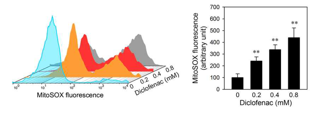 Diclofenac increases the level of mitochondrial O2•- in HepG2 cells