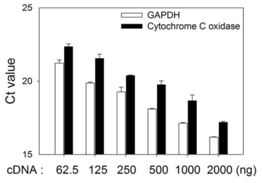 Cytochrome C oxidase expression in HepG2 cells