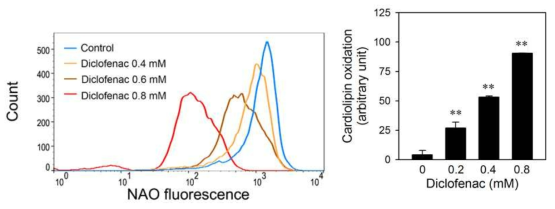 Diclofenac induces the oxidation of mitochondrial cardiolipin in HepG2 cells