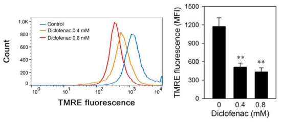 Diclofenac induces the disruption of MMP in HepG2 cells