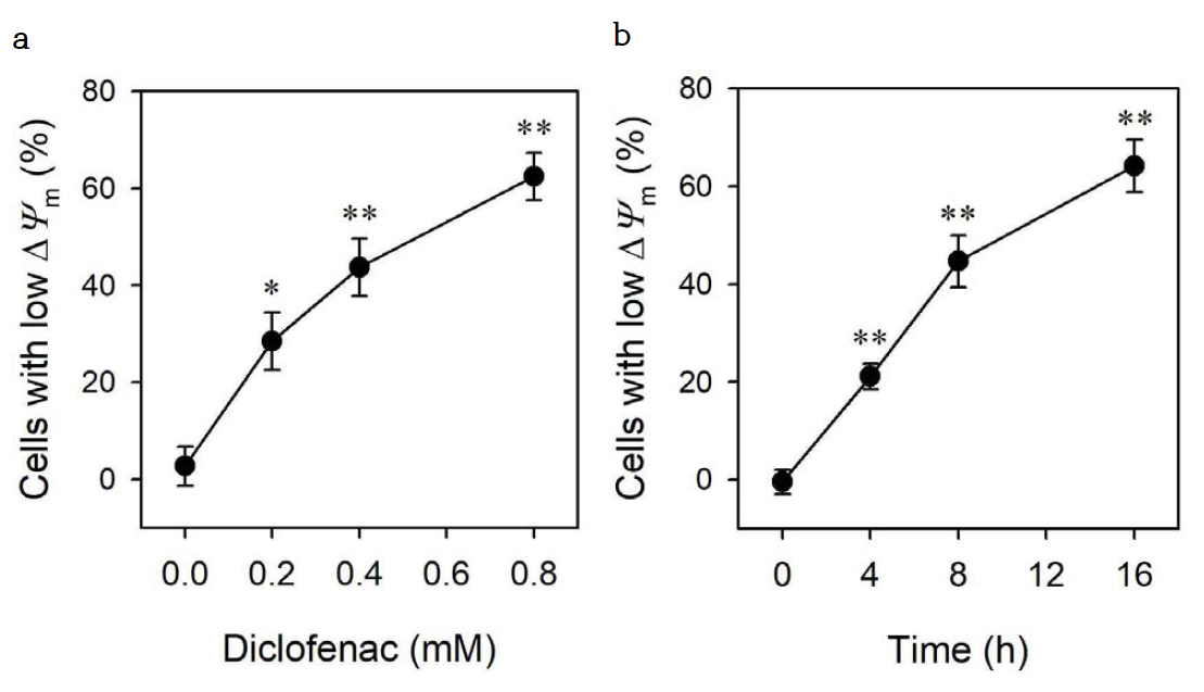 Diclofenac induces the disruption of ΔΨm in HepG2 cells. HepG2 cells were cultured for 16 h with the indicated concentrations of diclofenac (a) or for indicated times with 0.8 mM diclofenac (b). Cells were then stained with TMRE and analyzed by flow cytometry. Data are expressed as means ± SEM of the percentage of cells with low ΔΨm fluorescence (n = 3; *, p < 0.05; **, p < 0.01 versus without diclofenac)