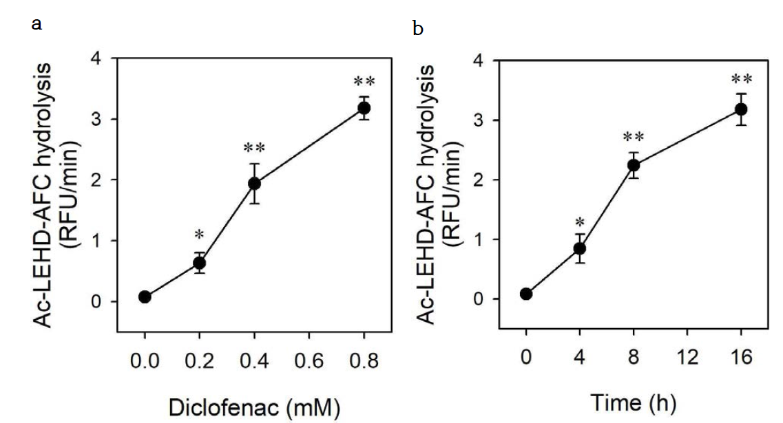 Diclofenac induces the activation of caspase-9 in HepG2 cells. HepG2 cells were cultured for 16 h with the indicated concentrations of diclofenac (a) or for indicated times with 0.8 mM diclofenac (b). Caspase-9 activity was measured using peptide conjugated to fluorophore. Data are expressed as means ± SEM of the RFU per min (n = 3; *, p < 0.05; **, p < 0.01 versus without diclofenac). RFU, relative fluorescence units