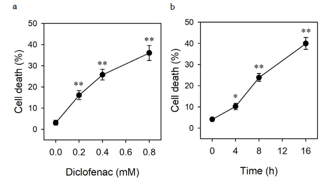 Diclofenac induces apoptotic death of HepG2 cells. HepG2 cells were cultured for 16 h with the indicated concentrations of diclofenac (a) or for indicated times with 0.8 mM diclofenac (b). After staining with FITC-conjugated annexin V and PI, cells were analyzed by flow cytometry. Annexin V and PI double-negative cells were considered as viable cells. Cell death was measured as the percentage of annexin V- or PI-positive cells. Data are expressed as means ± SEM (n = 3; *, p < 0.05; **, p < 0.01 versus without diclofenac). P I , propidium iodide