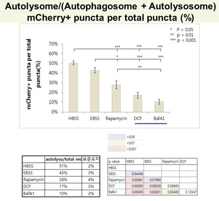 mCherry-eGFP-LC3 발현 HepG2 세포에 각각 8시간 처리 후에 confocal 영상 분석을 통하여 spot 개수를 정량화하여 비교함