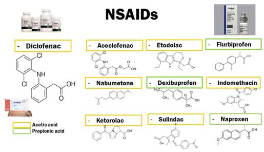 선택한 10종의 NSAIDs