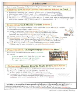 영국 Design &Technology(중학교 1~3) 교과서 중 식품첨가물 내용