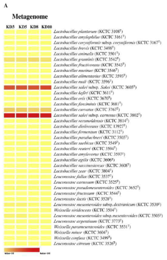 배추 김치 발효 중 microbial diversity (Nam et al. Int. J. Food Microbiol. 2009)
