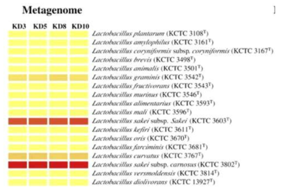 배추 김치 발효 중 microbial diversity (Nam et al. Int. J. Food Microbiol. 2009)