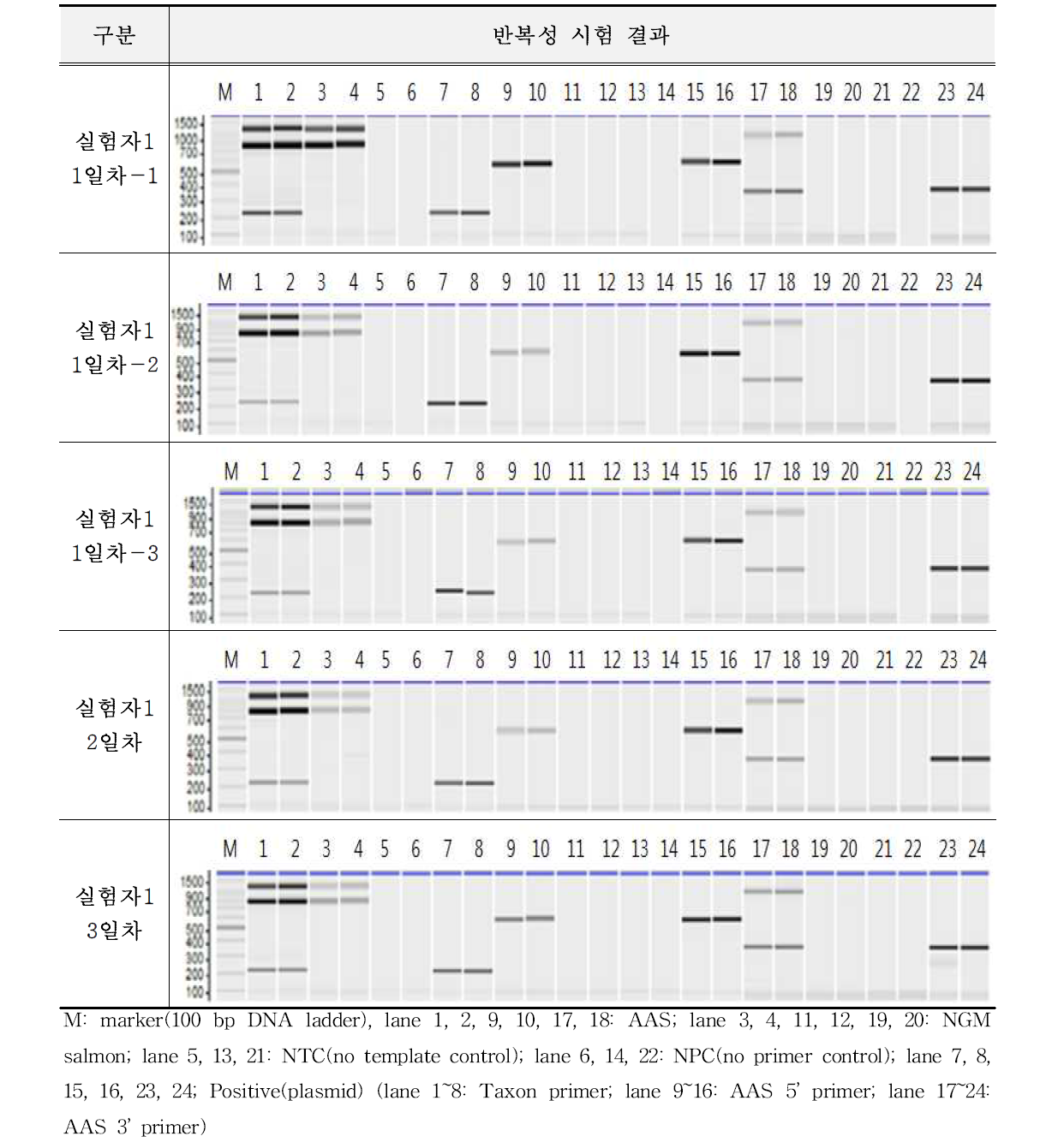 유전자변형 연어 AAS에 대한 시험법의 반복성 시험 결과(A-1)