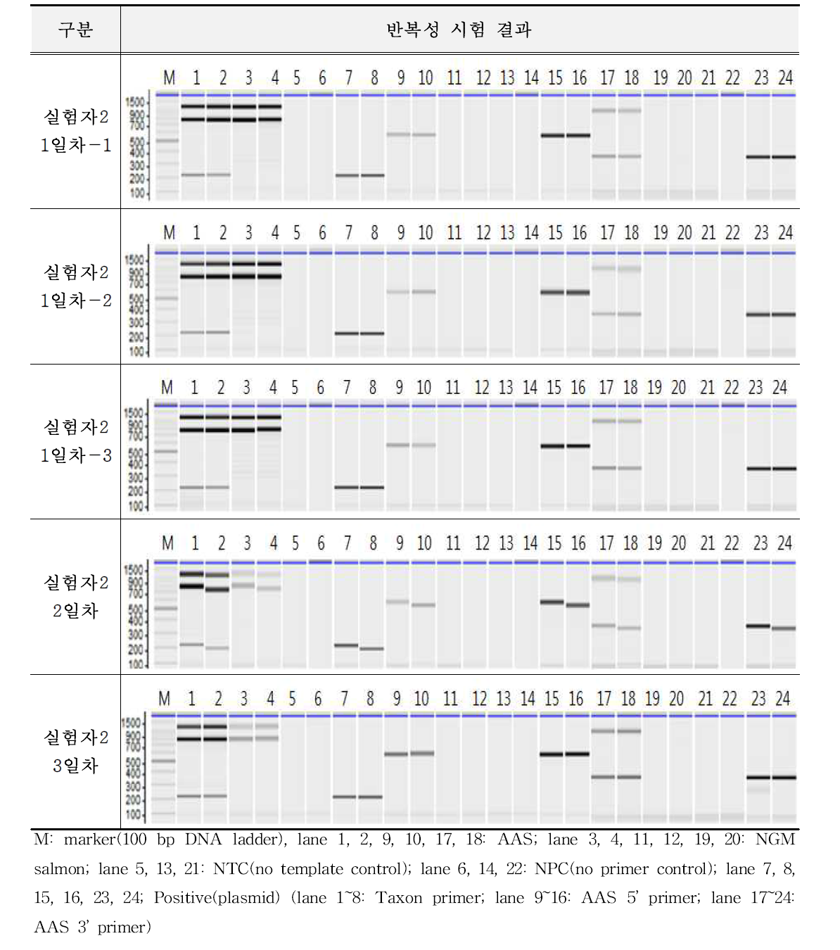 유전자변형 연어 AAS에 대한 시험법의 반복성 시험 결과(A-2)