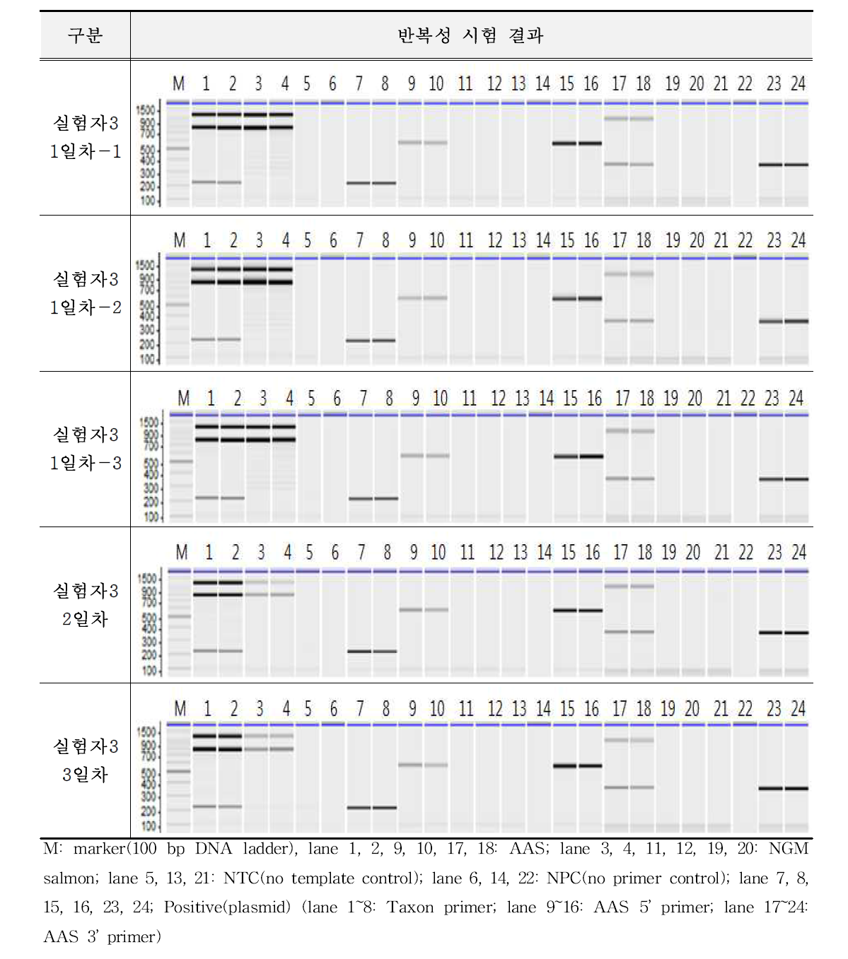 유전자변형 연어 AAS에 대한 시험법의 반복성 시험 결과(A-3)