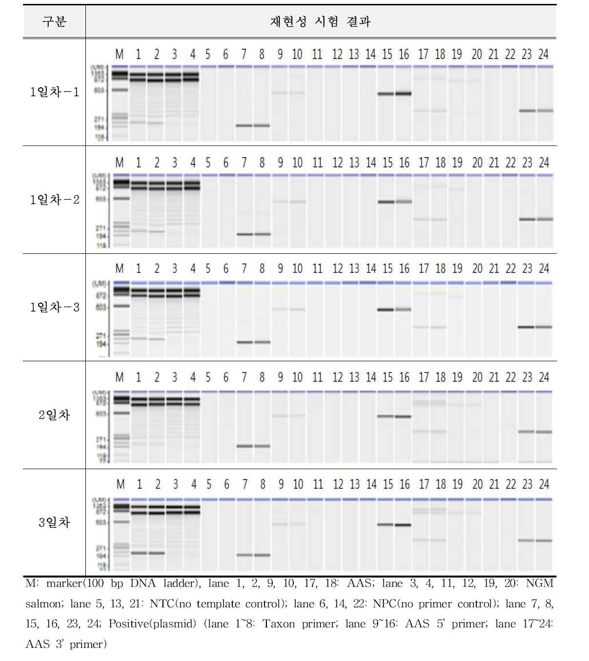 유전자변형 연어 AAS에 대한 시험법의 재현성 시험 결과(B)