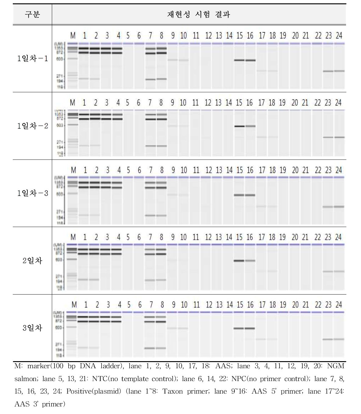 유전자변형 연어 AAS에 대한 시험법의 재현성 시험 결과(C)