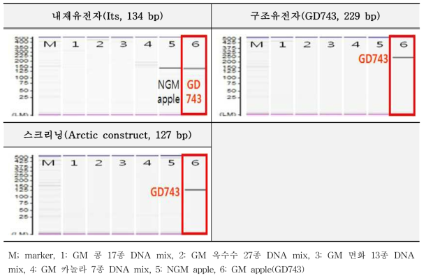 유전자변형 사과 GD743에 대한 특이성 시험 결과