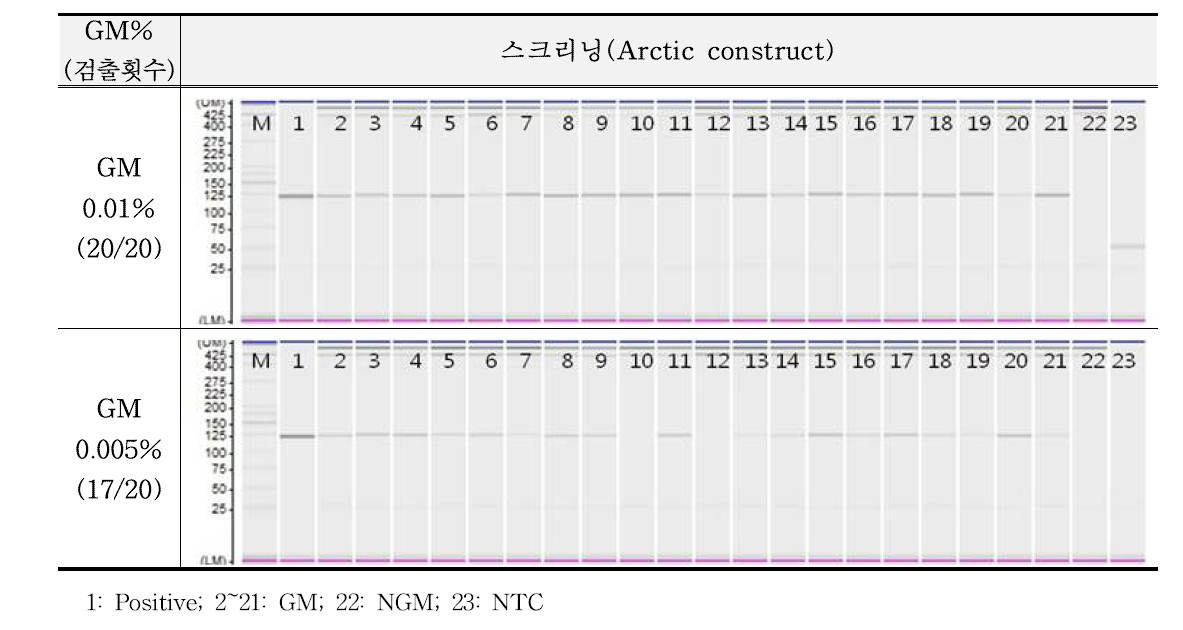 스크리닝 유전자(Arctic construct)에 대한 민감도 반복시험 결과