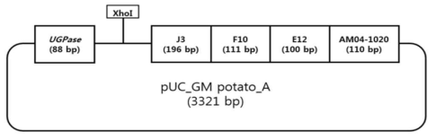 유전자변형 감자 정성시험용 표준 플라스미드