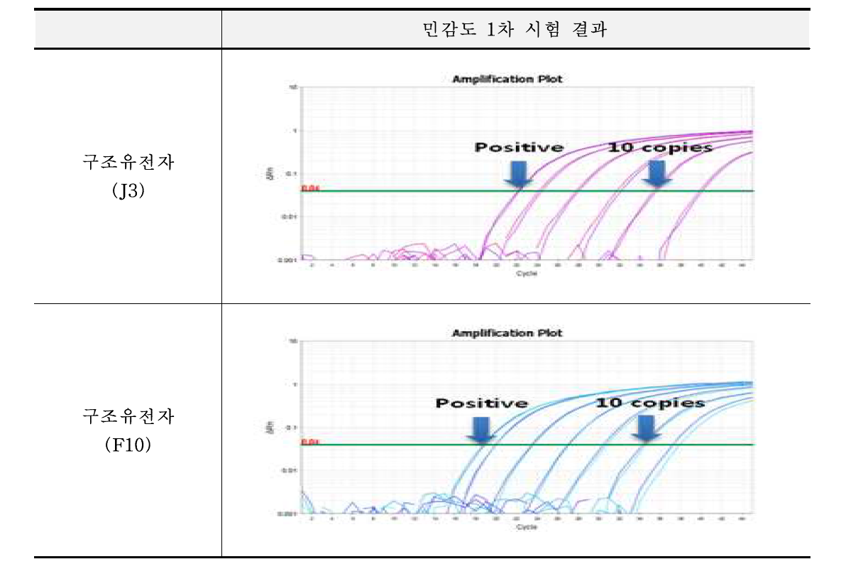 유전자변형 감자에 대한 민감도 1차 시험 결과