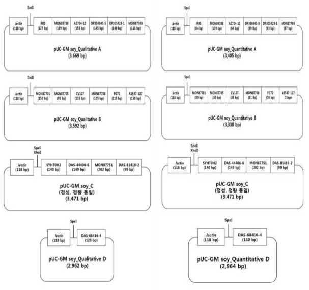 유전자변형 콩 17품목의 표준 플라스미드