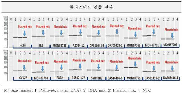 유전자변형 콩에 대한 표준 플라스미드 검증 결과