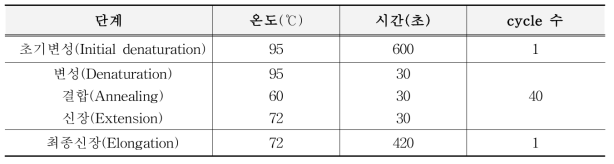 유전자변형 옥수수 표준 플라스미드 검증용 PCR 반응액 조건