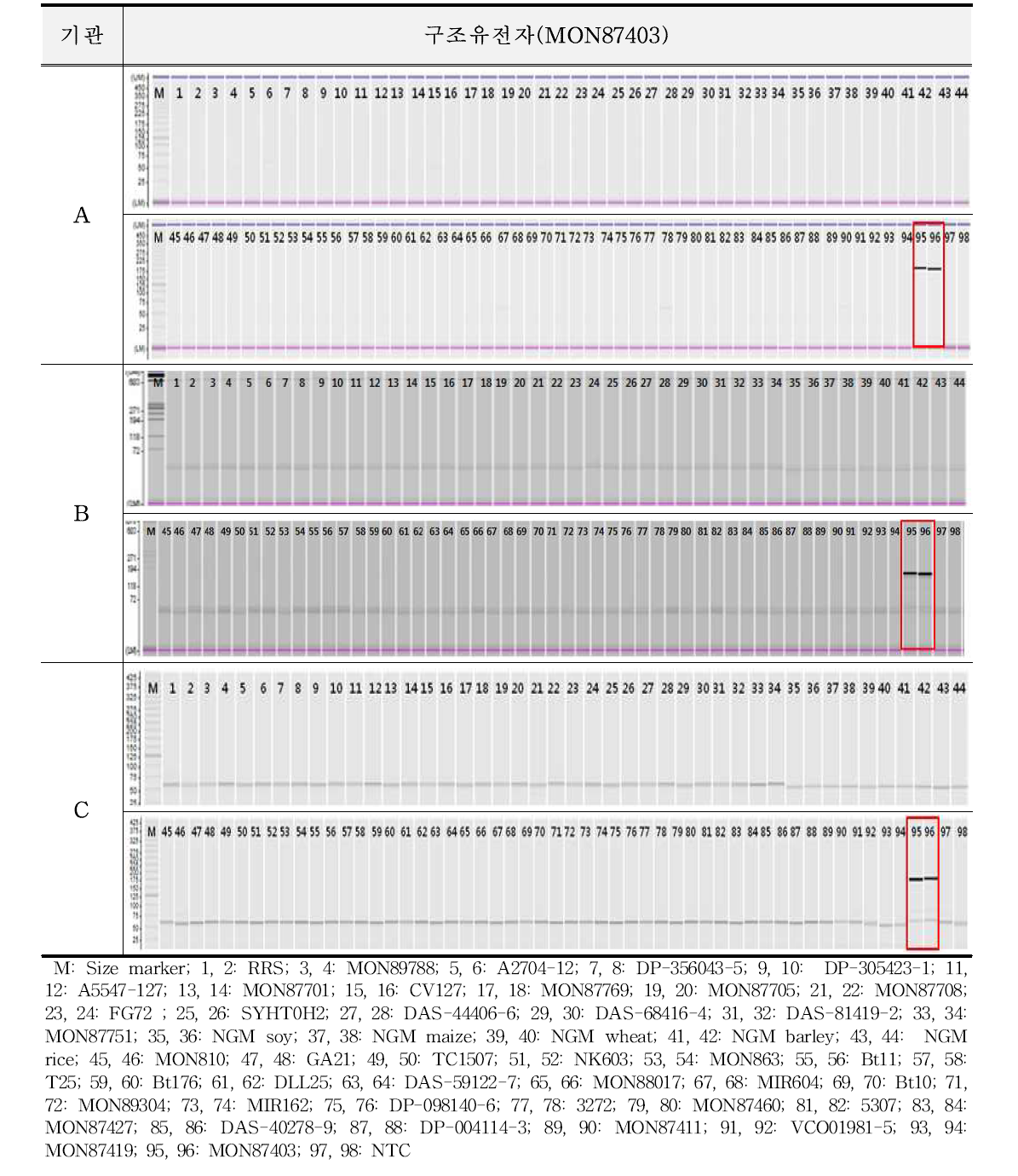 유전자변형 옥수수 MON87403에 대한 특이성 시험 결과