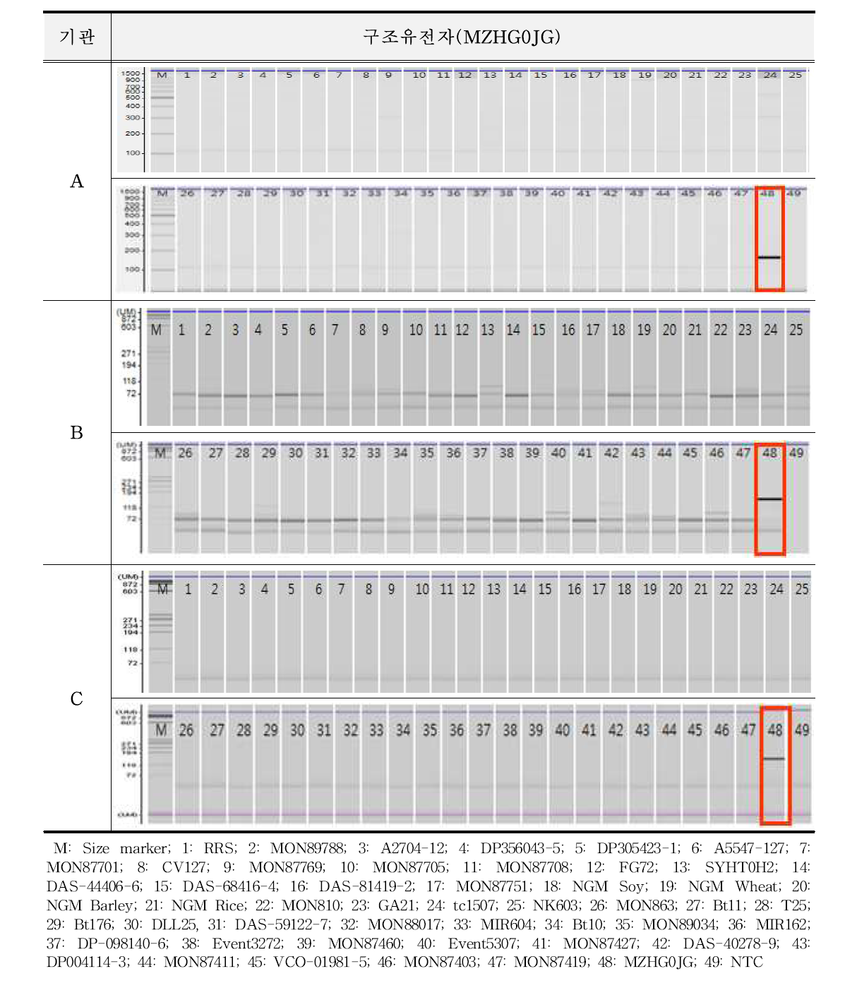 유전자변형 옥수수 MZHG0JG에 대한 특이성 시험 결과