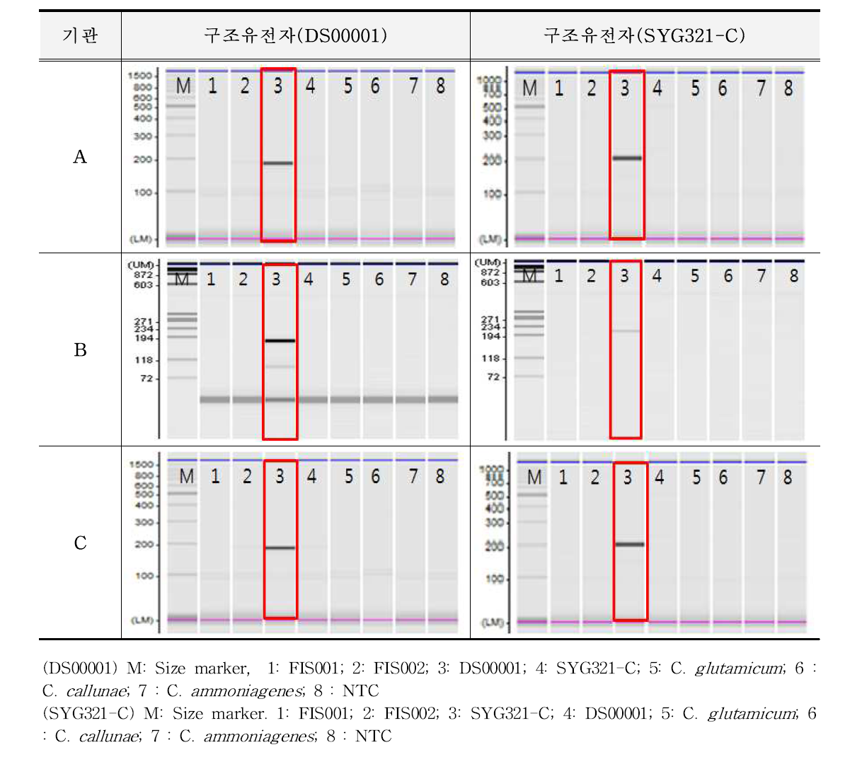 유전자변형 미생물 DS00001, SYG321-C에 대한 특이성 시험 결과