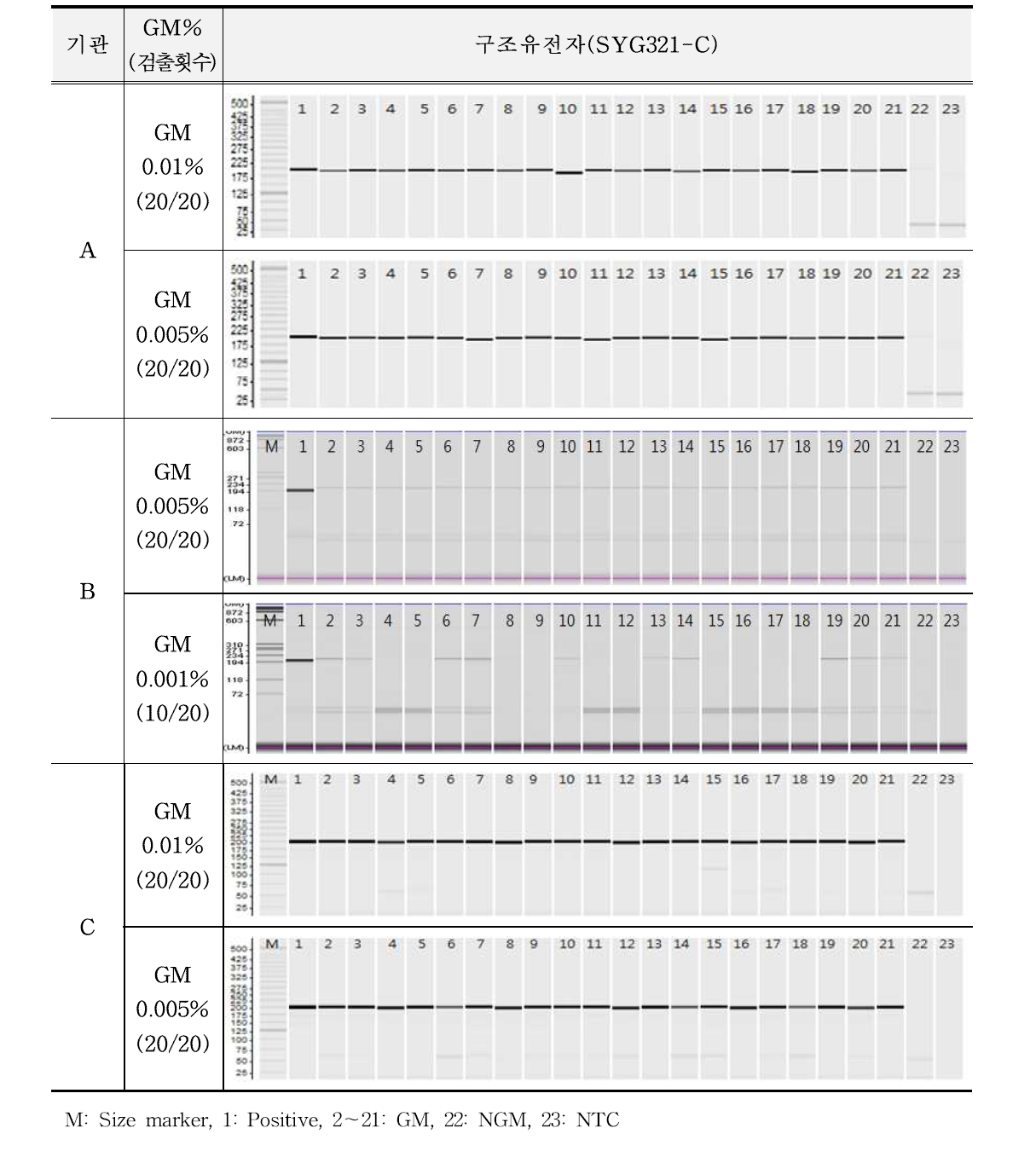 유전자변형 미생물 SYG321-C에 대한 민감도 반복시험 결과