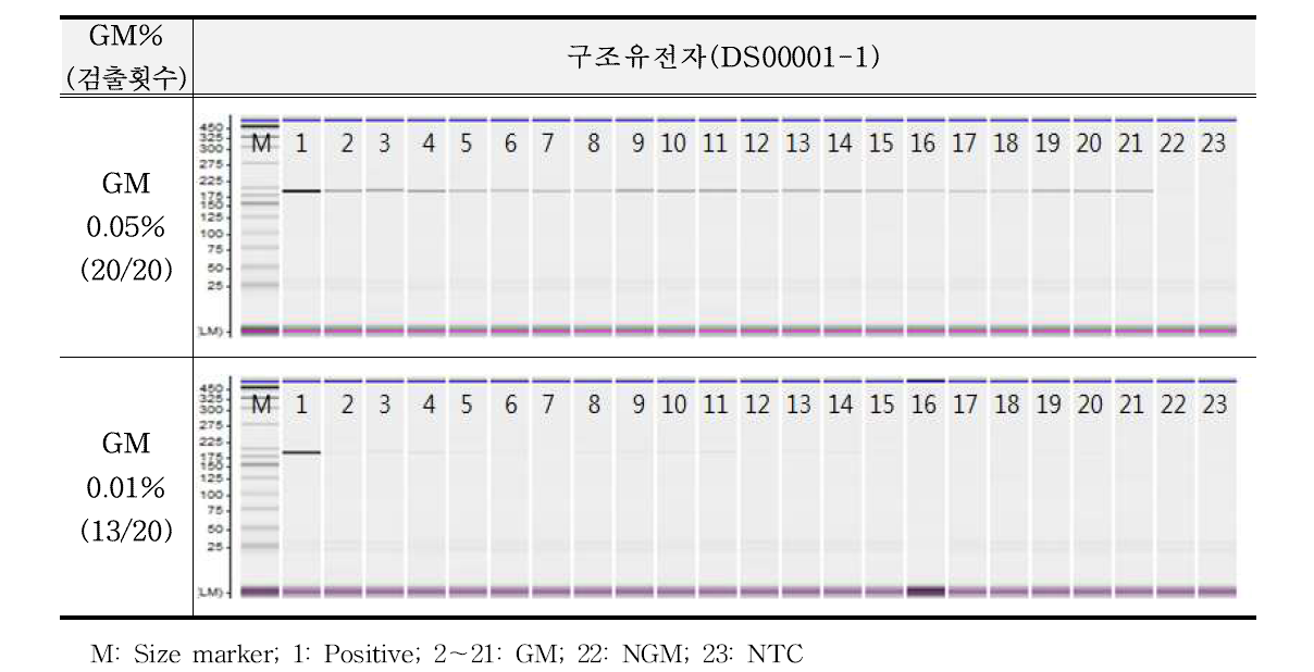 유전자변형 미생물 DS00001-1에 대한 민감도 반복시험 결과