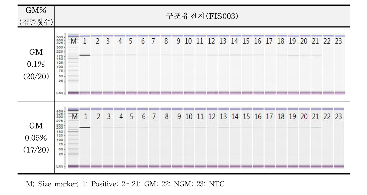 유전자변형 미생물 FIS003에 대한 민감도 반복시험 결과