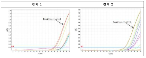 검체에 따른 크로노박터 Real-time PCR