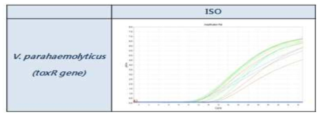 장염비브리오 ISO Real-time PCR 식품접종 검증결과
