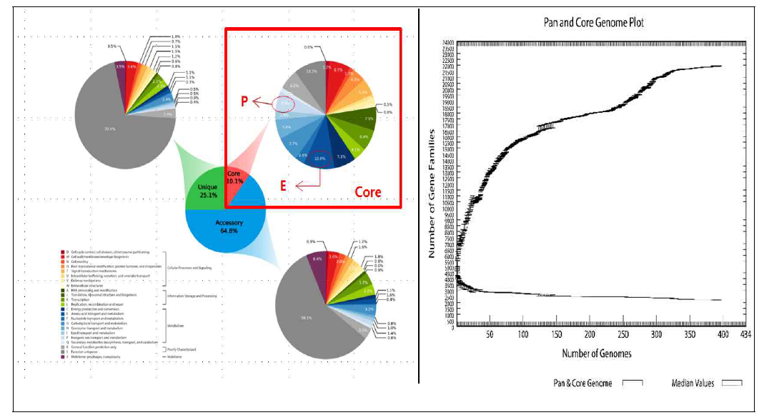 BPGA를 이용한 샘플 CDS의 pan-genome 분석