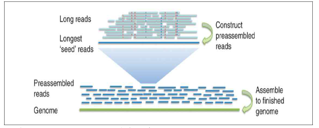 De novo assembly 방법 모식도